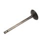 ACDelco GM Genuine Parts Engine Valves 12621548