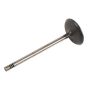 ACDelco Valves 12623722
