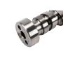 ACDelco Camshafts 12625439