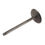 ACDelco GM Genuine Parts Engine Valves 12627971
