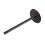 ACDelco GM Genuine Parts Engine Valves 12629513