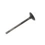 ACDelco GM Genuine Parts Engine Valves 12631974