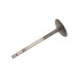 ACDelco GM Genuine Parts Engine Valves 12631975