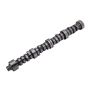 ACDelco Camshafts 12633925