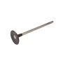 ACDelco GM Genuine Parts Engine Valves 12636317