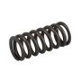 ACDelco Valve Springs 12636319