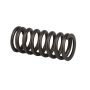 ACDelco Valve Springs 12636319