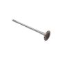 ACDelco Valves 12637241