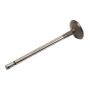 ACDelco Valves 12638805