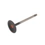 ACDelco GM Genuine Parts Engine Valves 12662527