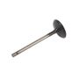 ACDelco GM Genuine Parts Engine Valves 12662527