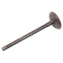 ACDelco Valves 12674513