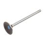 ACDelco GM Genuine Parts Engine Valves 12678746
