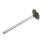 ACDelco GM Genuine Parts Engine Valves 12678746