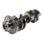 ACDelco - Crankshafts for 2019 CORVETTE - 12684206