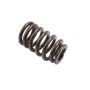 ACDelco Valve Springs 12686721