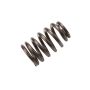 ACDelco Valve Springs 12686721