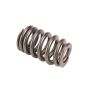 ACDelco Valve Springs 12713265