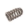 ACDelco Valve Springs 12713265