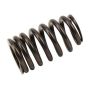ACDelco Valve Springs 12728733