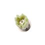 ACDelco Accessory Power Receptacles 13502522