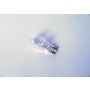ACDelco Light Bulbs 13503360