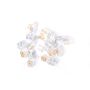 ACDelco Light Bulbs 13503363