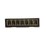 ACDelco GM Genuine Parts Body Control Modules 13587704