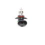 ACDelco Light Bulbs 13589425