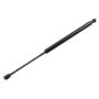 ACDelco Lift Supports 15120903