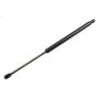 ACDelco Lift Supports 15120903