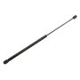ACDelco Lift Supports 15161943