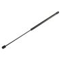 ACDelco Lift Supports 15161944