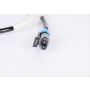 ACDelco Wiring Harnesses for 2005-2006 EQUINOX, 2006 TORRENT - 15773652