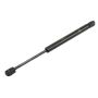 ACDelco - Lift Supports for 2008-2012 MALIBU - 15825422