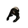 ACDelco Motor Mounts 15925796