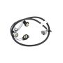 ACDelco GM Genuine Parts Taillight Wiring Harnesses 16531401