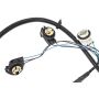 ACDelco GM Genuine Parts Taillight Wiring Harnesses 16531402
