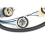 ACDelco GM Genuine Parts Taillight Harnesses 16531490
