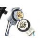 ACDelco GM Genuine Parts Taillight Harnesses 16532721