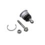 ACDelco GM Genuine Parts Suspension Ball Joints 19133638