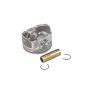 ACDelco - Pistons for 2009-2010 COBALT, 2009-2011 HHR - 19180242