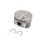ACDelco GM Genuine Parts Pistons 19208675