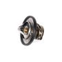 ACDelco GM Genuine Parts Engine Coolant Thermostats for 2015-2018 CITY EXPRESS - 19316307