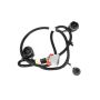 ACDelco GM Genuine Parts Taillight Harnesses 20840283