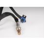 ACDelco GM Genuine Parts Oxygen Sensors 19355312