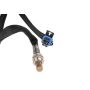 ACDelco GM Genuine Parts Oxygen Sensors 19355312
