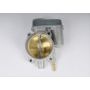 ACDelco GM Genuine Parts Fuel Injection Throttle Bodies 12568580