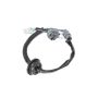 ACDelco GM Genuine Parts Taillight Wiring Harnesses for 2016-2025 MALIBU - 23474553