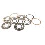 ACDelco GM Genuine Parts Automatic Transmission Clutch Plates 24264341